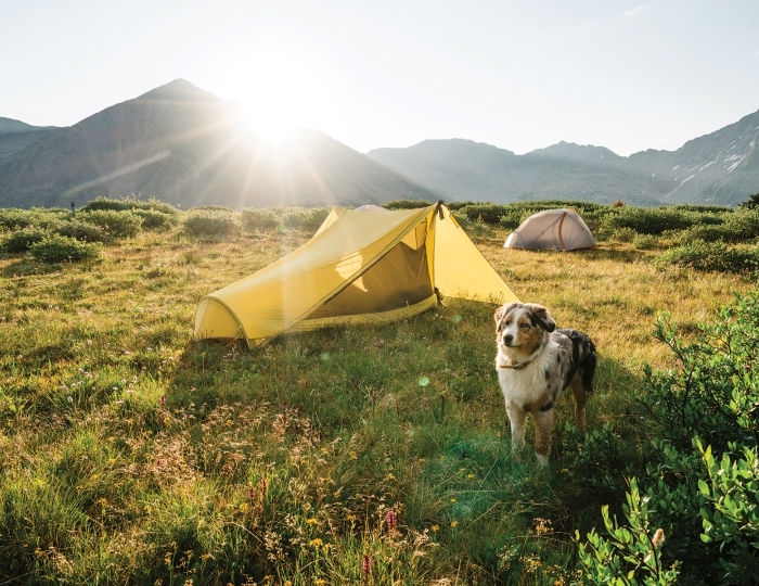 Летние развлечения на территории курорта Красная Поляна (ex. Горки Город) - «Novotel Fit Krasnaya Polyana» / «Новотель Фит Красная Поляна» отель (бывш. «Novotel Congress»)