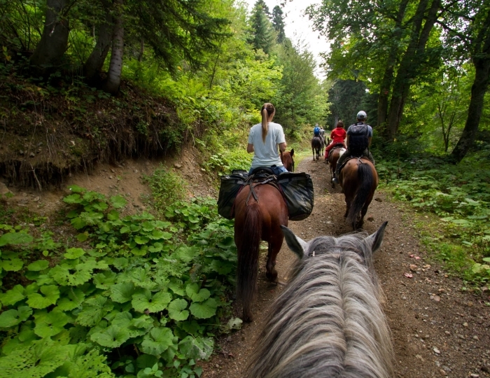 Летние развлечения на территории курорта Красная Поляна (ex. Горки Город) - «Novotel Fit Krasnaya Polyana» / «Новотель Фит Красная Поляна» отель (бывш. «Novotel Congress»)